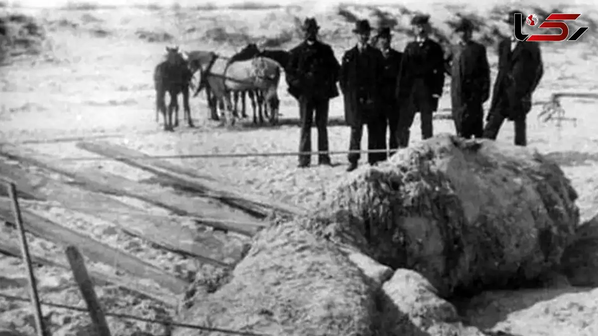 افشاگری درباره هیولاهای دریایی مرموز و حضورشان در سواحل / عکس