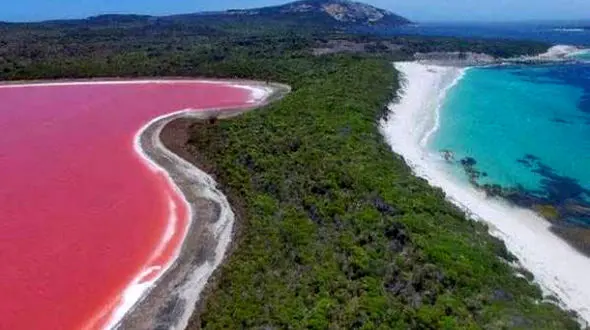 شگفت انگیزترین دریاچه به رنگ صورتی+عکس