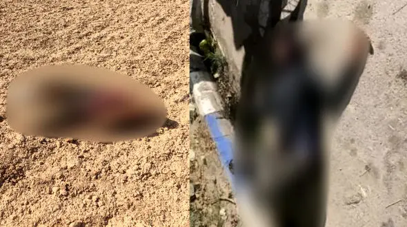 هلاکت 2 دزد مسلح در تیراندازی دقیق صاحبخانه در شوشتر ! / طلاهای زنان در خانه را دزدیدند + عکس شطرنجی دزدان بعد از مرگ