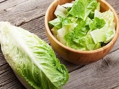 بخش فریبنده کاهو که نباید بخورید! / خواص و مضرات کاهو