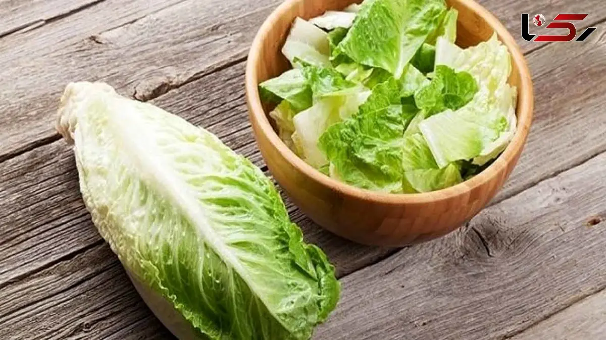 بخش فریبنده کاهو که نباید بخورید! / خواص و مضرات کاهو