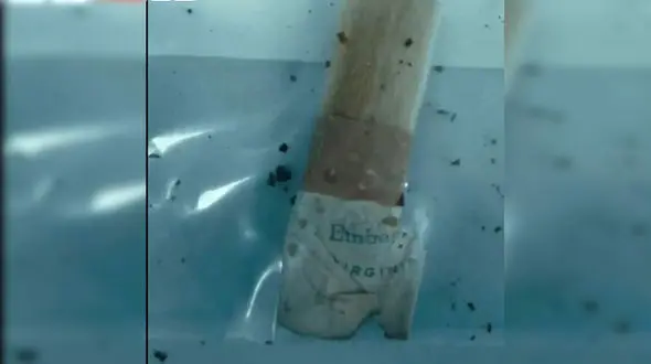 DNA روی ته‌سیگار، گره‌گشای قتل مادر ۱۱ فرزند شد