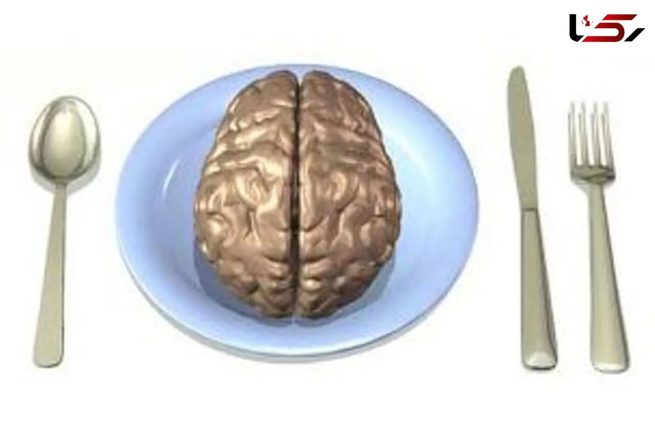 هوش شما با این مواد غذایی کم می شود!
