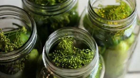 شربتی سنتی برای مقابله با چربی خون بالا