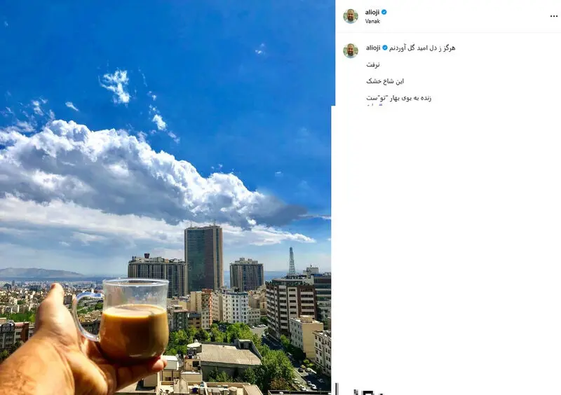 علی اوجی