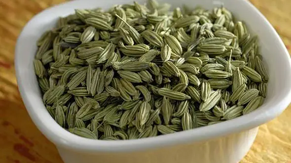 رازیانه ، دوستدار خانم ها