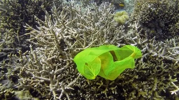 انباشت زباله های پلاستیکی در اقیانوس ها یک خطر جدی زیست محیطی