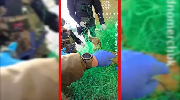 فیلم نجات سگ گرفتار در تورهای ضد پهپاد