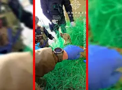 فیلم نجات سگ گرفتار در تورهای ضد پهپاد