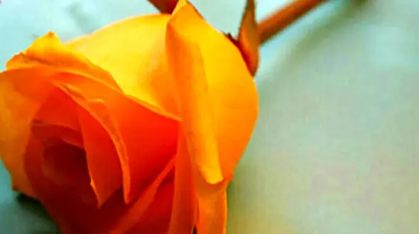 فال ابجد امروز 3 دی ماه + فیلم