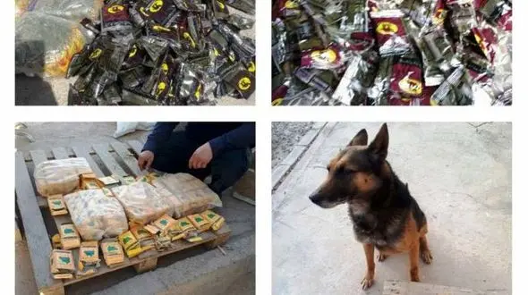 «پان» جدید ترین مخدر جهش یافته در ایران را می شناسید؟! + عکس