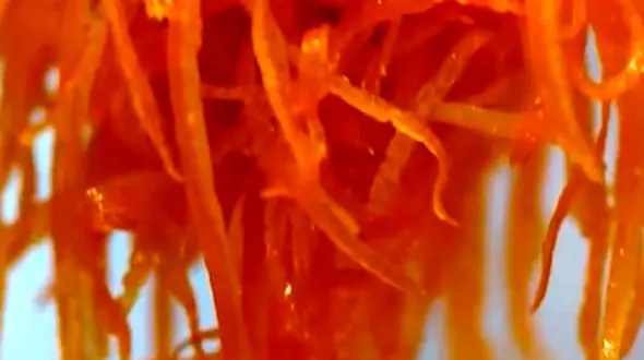 از پوست پرتقال خونگی تا دلمه کلم تبریزی