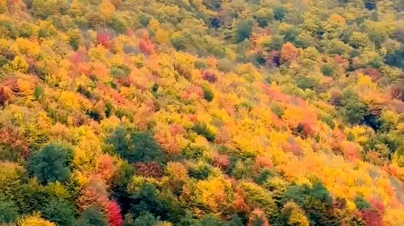 از پاییز رودبار تا آبشار لُوِه  استان گلستان