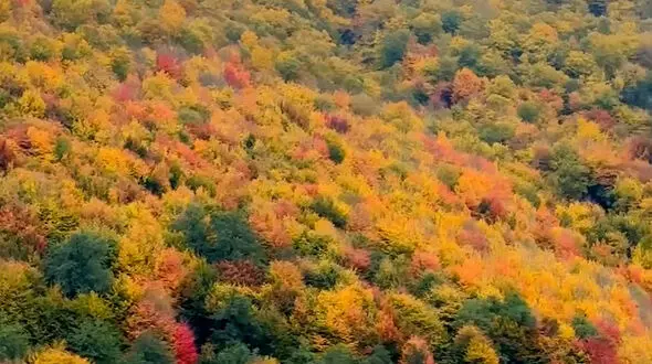 از پاییز رودبار تا آبشار لُوِه  استان گلستان