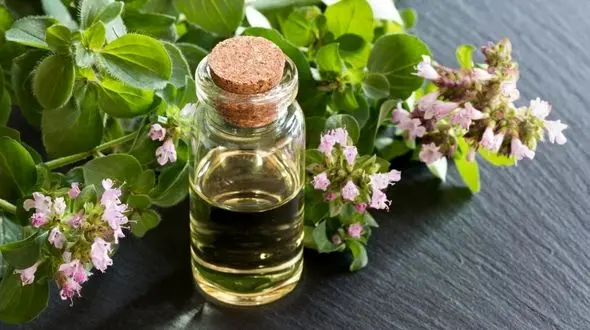 درمان سرفه با گیاهی معجزه آسا