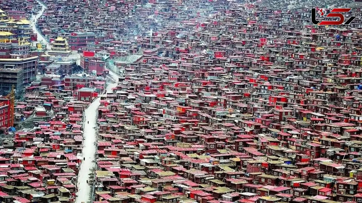 بزرگترین اقامتگاه بودایی جهان در ارتفاعات تبت / هزاران خانه سرخ‌ رنگ در دل کوه های تبت