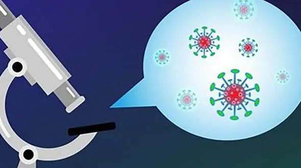 کشف جهشی منحصر به فرد در ویروس کرونا