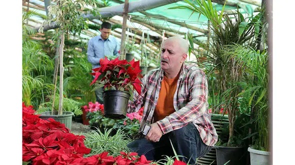 اصلاح رنگ «دریاچه ماهی» به پایان رسید