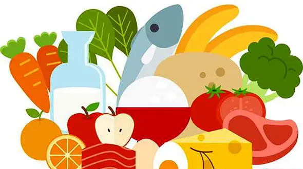 نقاشی خوراکی های مفید و غیر مفید کلاس اول