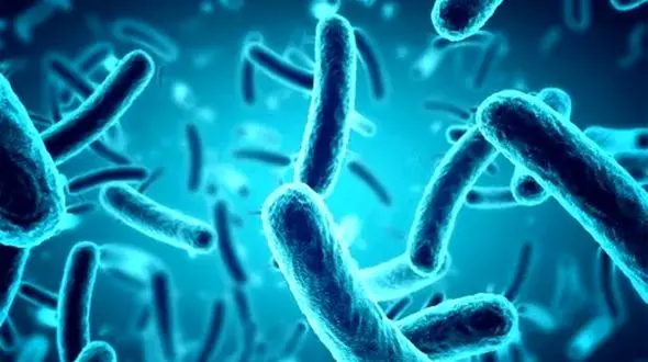 باکتری‌ های فضانورد: آیا میکروب‌ ها می‌ توانند در فضا زنده بمانند؟