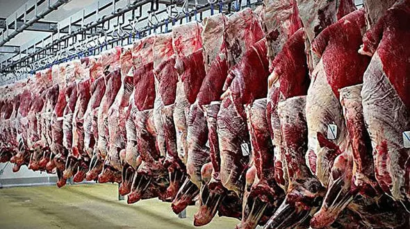 فرار مسئول کشتارگاه ملایر پس از افشای تخلف