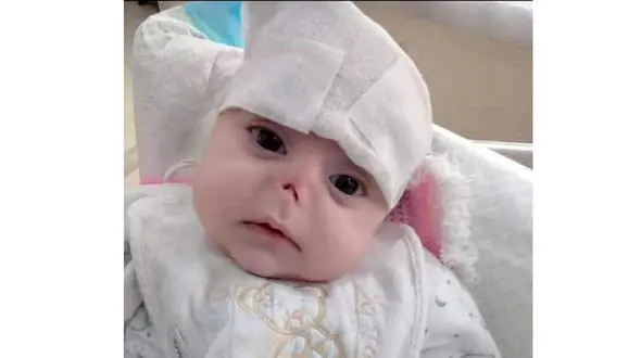 موش‌ها نوزاد رها‌شده  را جویدند + عکسی که دلتان را می لرزاند