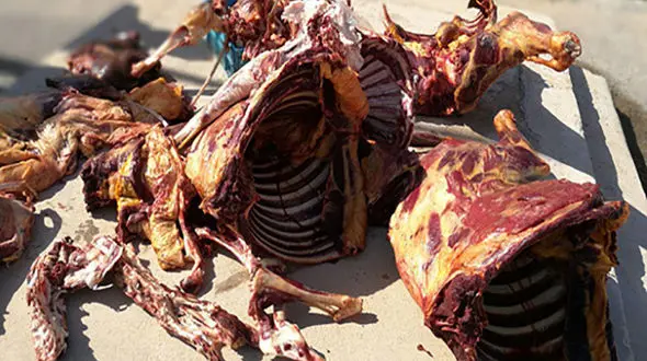 400 کیلو گوشت الاغ از یک قصابی کشف شد+ عکس