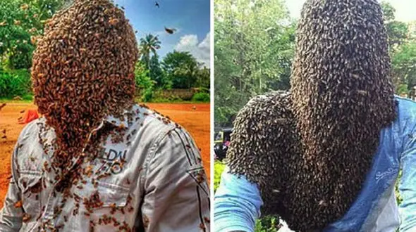 مرد زنبوری هند رکورد دار گینس شد + فیلم