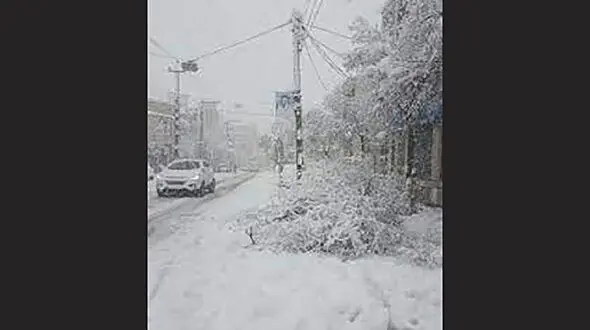 البرز ، قم و  سیستان و بلوچستان هم تعطیل شد