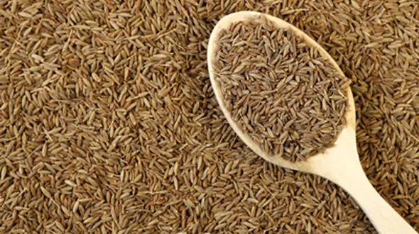 خواص شگفت انگیز زیره برای لاغری شکم