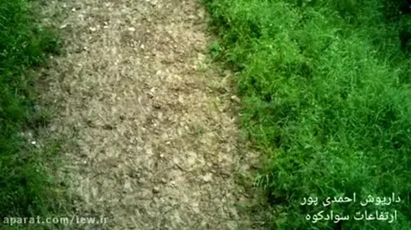  تصاویر زیبا و شگفت انگیز در ارتفاعات سوادکوه + فیلم