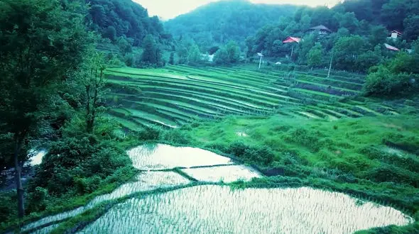 ببینید / نماهنگ بی کلام و آرامش بخش با تصاویری زیبا از ایران + فیلم 