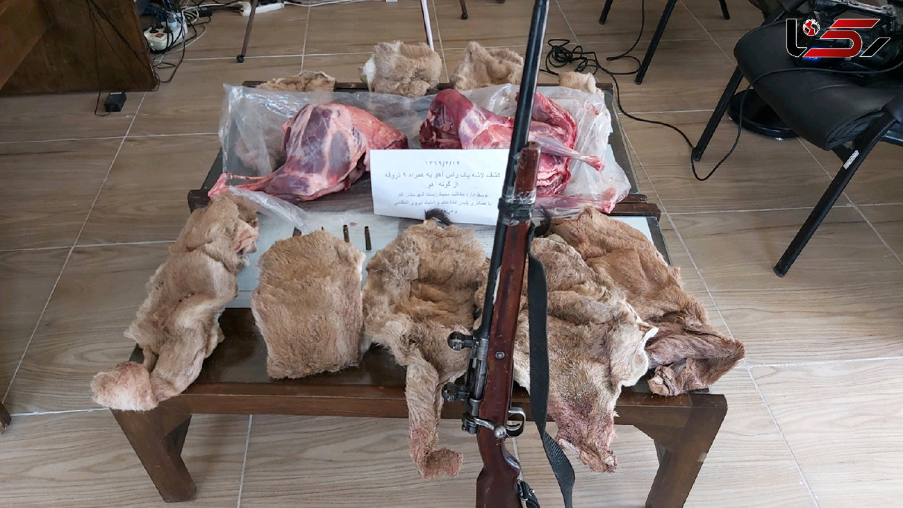 دستگیری 10 حیوان به دام شکارچی متخلف در کرمان