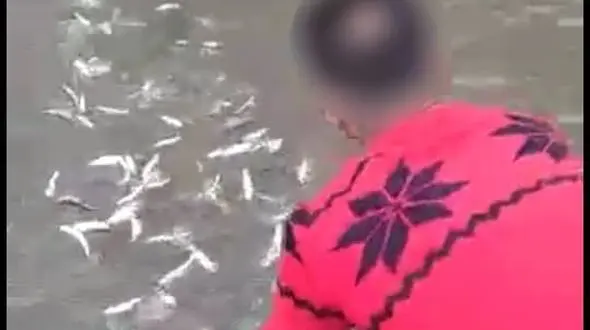 دستگیری صیادان متخلف 