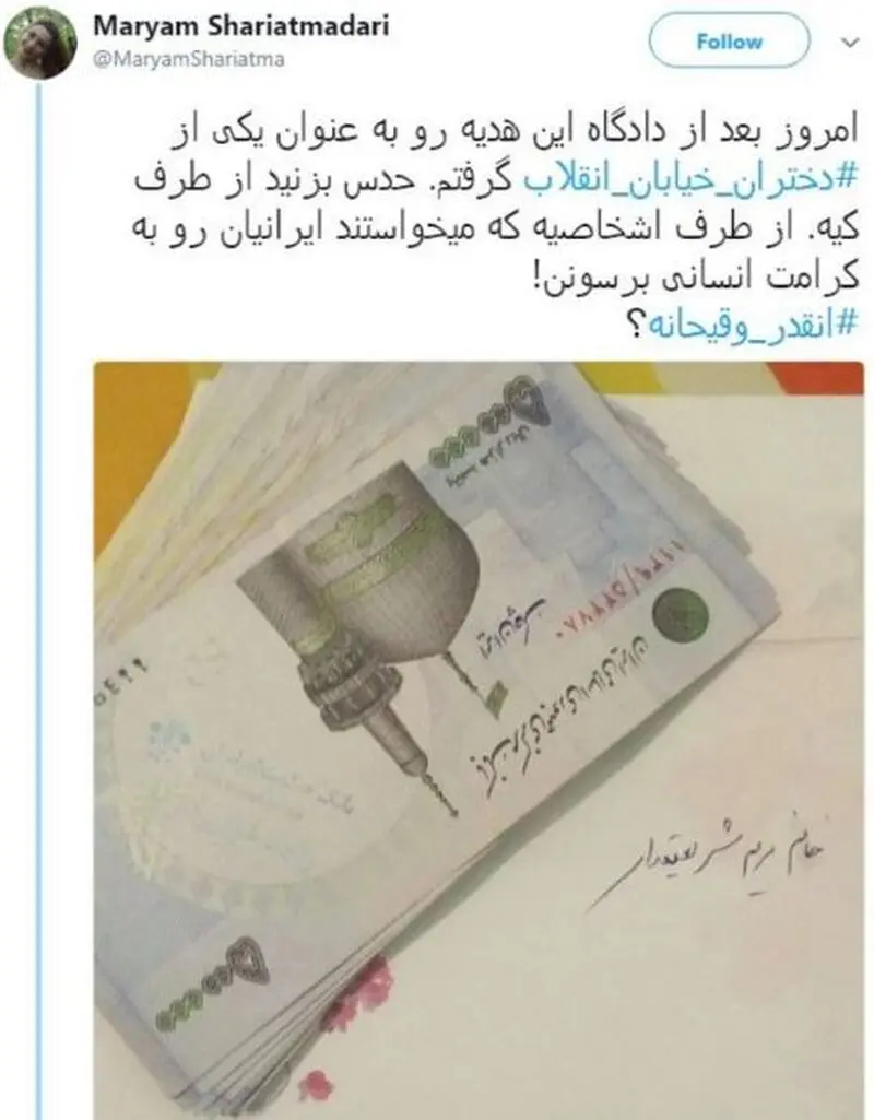 سرنوشت یاران علینژاد از پست برق تا کانادا و آمریکا/ پروژه مقابله با حجاب به حمایت از همجنسبازی ختم شد + تصاویر
