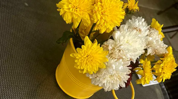 یک خبر عاشقانه برای فردا چهارشنبه 5 دی 1403 + فیلم