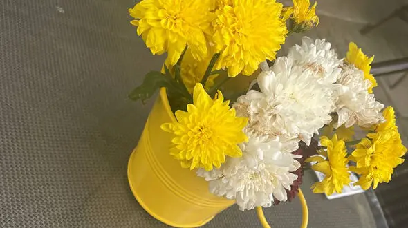 یک خبر عاشقانه برای فردا چهارشنبه 5 دی 1403 + فیلم