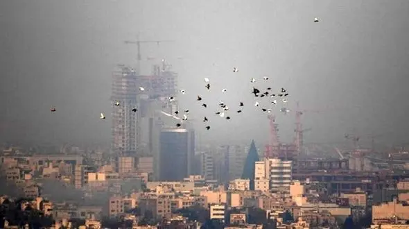 صنایع خرخره اصفهانی ها را چسبیده اند! / مردم از کسب و سواد افتاده اند + فیلم