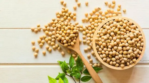 این ماده خوراکی باروری مردان را به خطر می اندازد