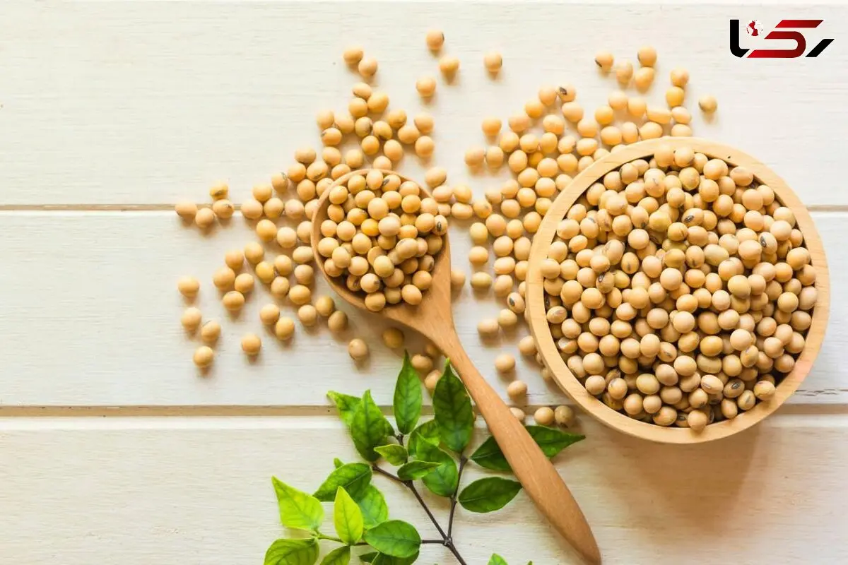 این ماده خوراکی باروری مردان را به خطر می اندازد