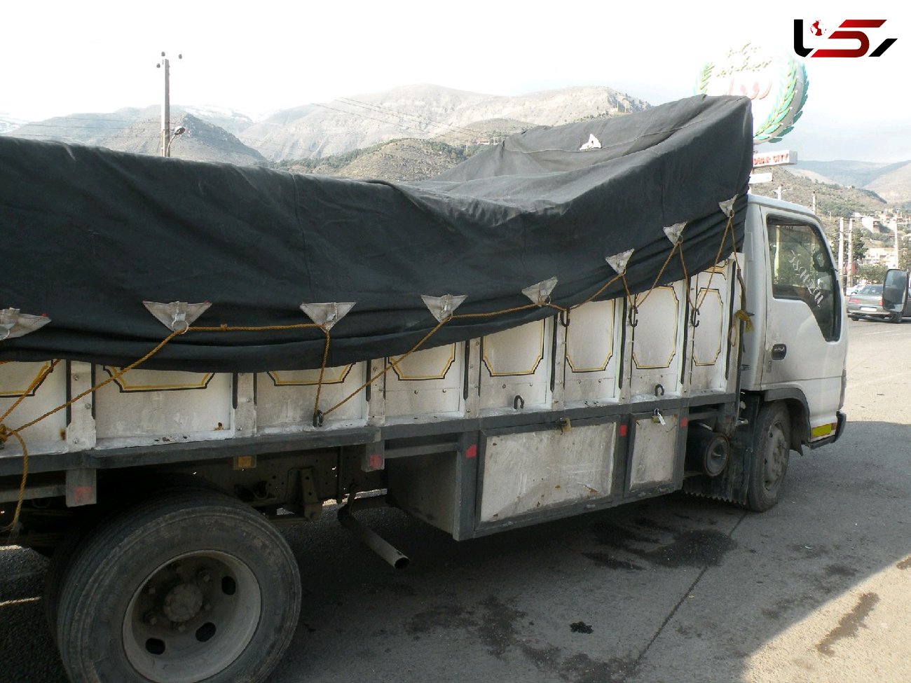 توقیف 6 دستگاه کامیون حامل بیش از 7 هزار قطعه مرغ فاقد مجوز در رودبار 
