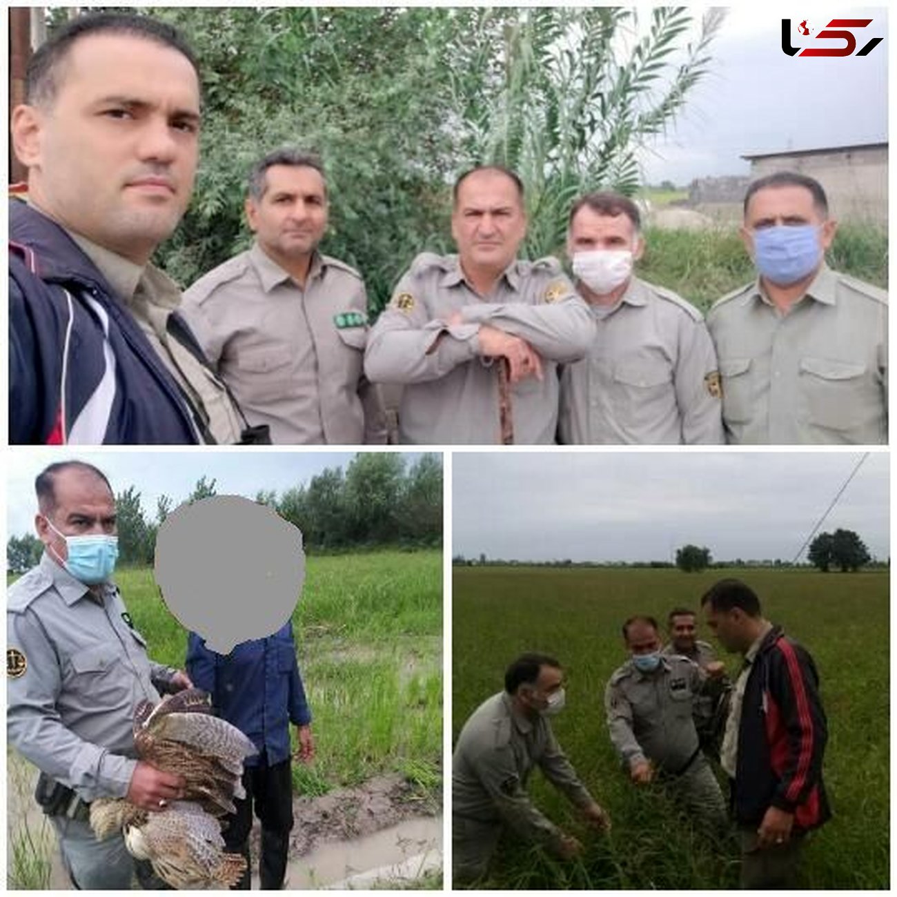 دستگیری16 متخلف شکاروصید درمازندران