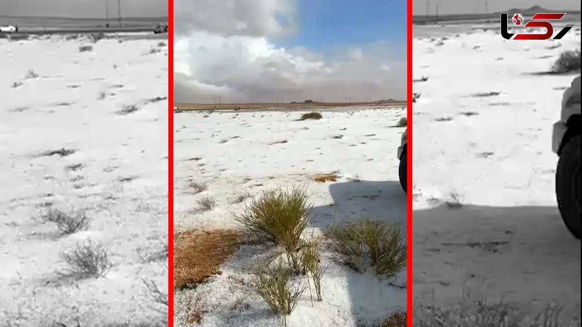 فیلم جلوه زمستانی در شمال عربستان