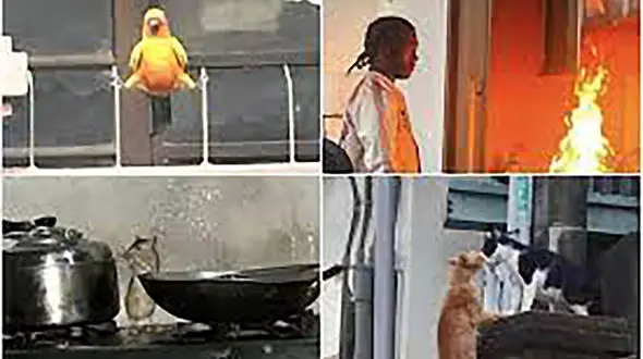 این عکس‌ها را با هیچ منطقی نمی‌توان توضیح داد