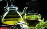 چای سبز را کی بنوشیم؟ / 3 زمان مفید 