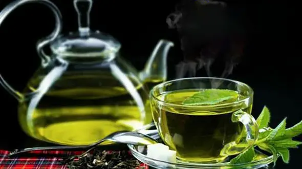 چای سبز را کی بنوشیم؟ / 3 زمان مفید 