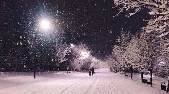 از زیبایی شب برفی تا آرامش در طبیعت