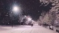از زیبایی شب برفی تا آرامش در طبیعت