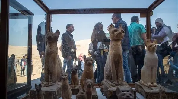 کشف جسد صدها حیوان / در مصر مومویایی شده بودند + عکس ها