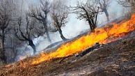 آتش سوزی در  منطقه حفاظت شده ماسوله به دلیل وزش باد گرم